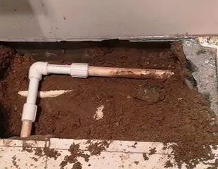 白沙测漏水哪家好