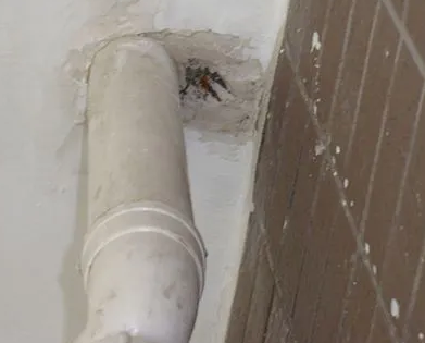 白沙漏水检测哪家好