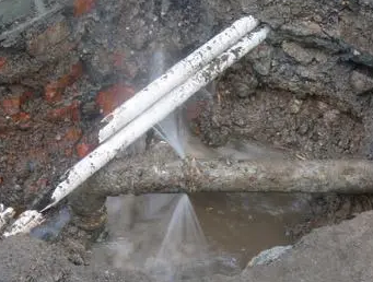 白沙测漏水多少钱